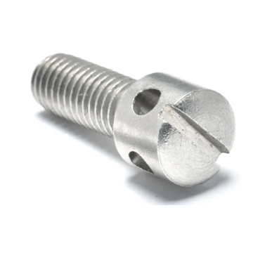 Seal screws INOX 
